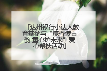 达州银行小达人教育基参与“粽香传古韵 童心护未来”爱心帮扶活动