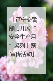 辽宁交警部门开展“安全生产月”系列主题宣传活动