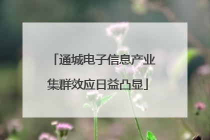 通城电子信息产业集群效应日益凸显