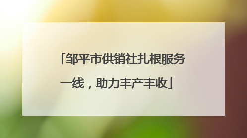 邹平市供销社扎根服务一线，助力丰产丰收