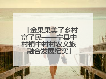 金果果美了乡村富了民——宁县中村镇中村村农文旅融合发展纪实