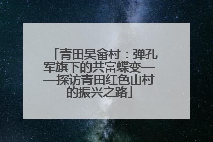 青田吴畲村：弹孔军旗下的共富蝶变——探访青田红色山村的振兴之路