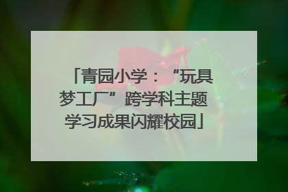 青园小学：“玩具梦工厂”跨学科主题学习成果闪耀校园