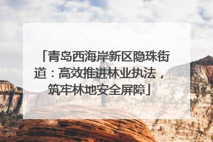 青岛西海岸新区隐珠街道：高效推进林业执法，筑牢林地安全屏障