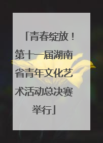 青春绽放！第十一届湖南省青年文化艺术活动总决赛举行