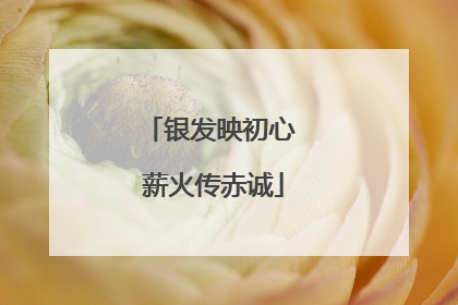 银发映初心 薪火传赤诚