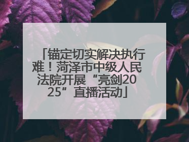 锚定切实解决执行难！菏泽市中级人民法院开展“亮剑2025”直播活动