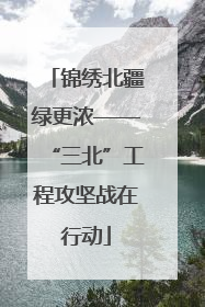锦绣北疆绿更浓——“三北”工程攻坚战在行动