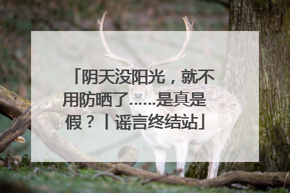 阴天没阳光，就不用防晒了……是真是假？丨谣言终结站