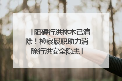 阻碍行洪林木已清除！检察履职助力消除行洪安全隐患