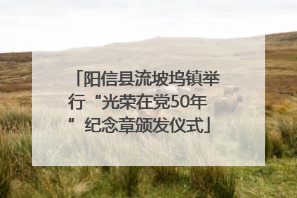 阳信县流坡坞镇举行“光荣在党50年”纪念章颁发仪式