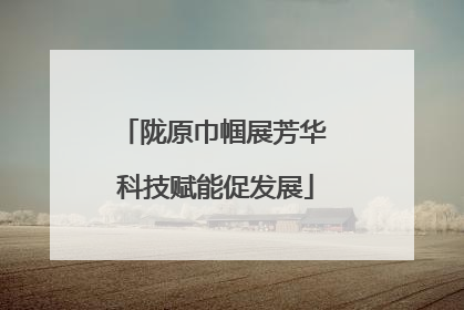 陇原巾帼展芳华 科技赋能促发展