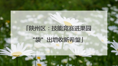 陕州区：技能竞赛进果园 “袋”出增收新希望