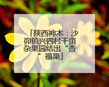 陕西神木：沙峁镇兴四村千亩杂果园结出“杏”福果