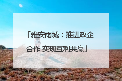 雅安雨城：推进政企合作 实现互利共赢