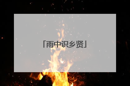 雨中识乡贤
