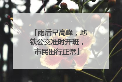 雨后早高峰，地铁公交准时开班，市民出行正常