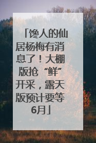 馋人的仙居杨梅有消息了！大棚版抢“鲜”开采，露天版预计要等6月