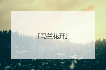 马兰花开