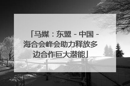 马媒：东盟－中国－海合会峰会助力释放多边合作巨大潜能