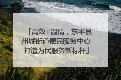 高效+温情，东平县州城街道便民服务中心打造为民服务新标杆