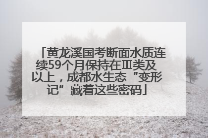 黄龙溪国考断面水质连续59个月保持在Ⅲ类及以上，成都水生态“变形记”藏着这些密码