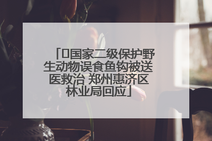 ﻿国家二级保护野生动物误食鱼钩被送医救治 郑州惠济区林业局回应