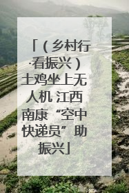 （乡村行·看振兴）土鸡坐上无人机 江西南康“空中快递员”助振兴