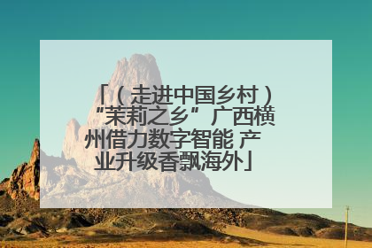（走进中国乡村）“茉莉之乡”广西横州借力数字智能 产业升级香飘海外