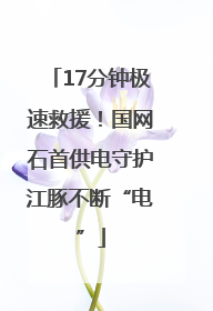 17分钟极速救援！国网石首供电守护江豚不断“电”