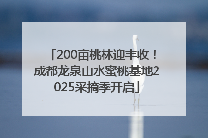 200亩桃林迎丰收！成都龙泉山水蜜桃基地2025采摘季开启