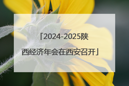 2024-2025陕西经济年会在西安召开
