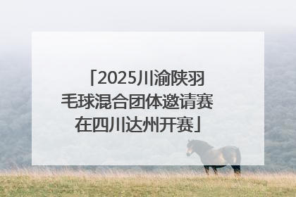 2025川渝陕羽毛球混合团体邀请赛在四川达州开赛