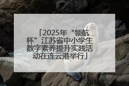 2025年“领航杯”江苏省中小学生数字素养提升实践活动在连云港举行