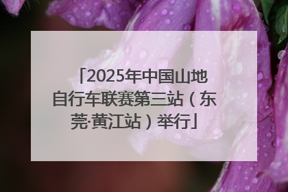 2025年中国山地自行车联赛第三站（东莞·黄江站）举行