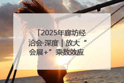 2025年廊坊经洽会·深度｜放大“会展+”乘数效应 打造消费新场景