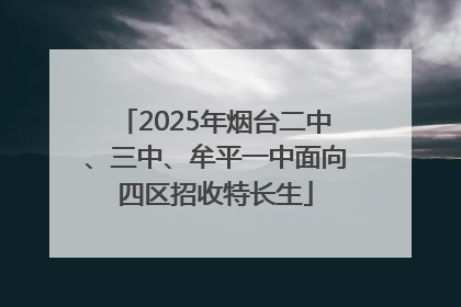 2025年烟台二中、三中、牟平一中面向四区招收特长生