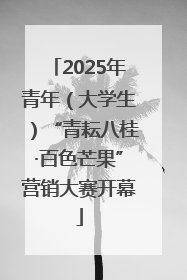 2025年青年（大学生）“青耘八桂·百色芒果”营销大赛开幕