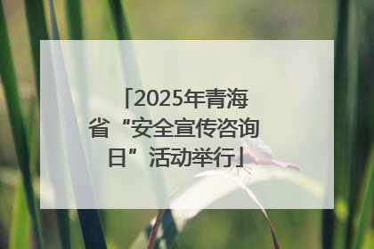 2025年青海省“安全宣传咨询日”活动举行