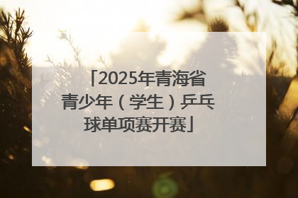 2025年青海省青少年（学生）乒乓球单项赛开赛
