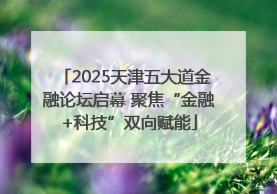 2025天津五大道金融论坛启幕 聚焦“金融+科技”双向赋能