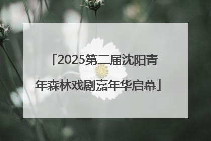 2025第二届沈阳青年森林戏剧嘉年华启幕