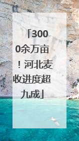 3000余万亩！河北麦收进度超九成