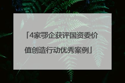 4家鄂企获评国资委价值创造行动优秀案例