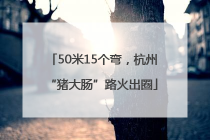50米15个弯，杭州“猪大肠”路火出圈
