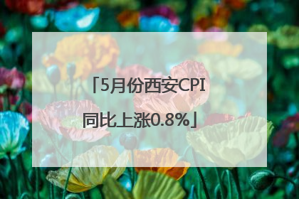 5月份西安CPI同比上涨0.8%