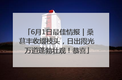 6月1日最佳情报｜桑葚丰收缀枝头，日出霞光万道蓬勃壮观！恭喜