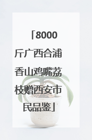 8000斤广西合浦香山鸡嘴荔枝赠西安市民品鉴