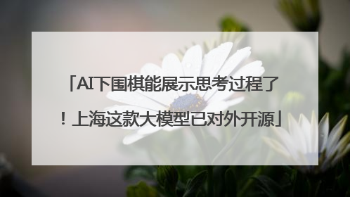 AI下围棋能展示思考过程了！上海这款大模型已对外开源