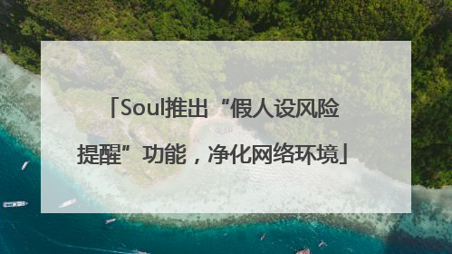 Soul推出“假人设风险提醒”功能，净化网络环境